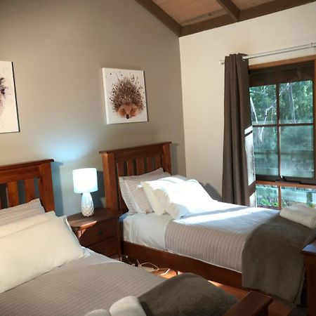 Day Dream Cottage Halls Gap Exterior foto