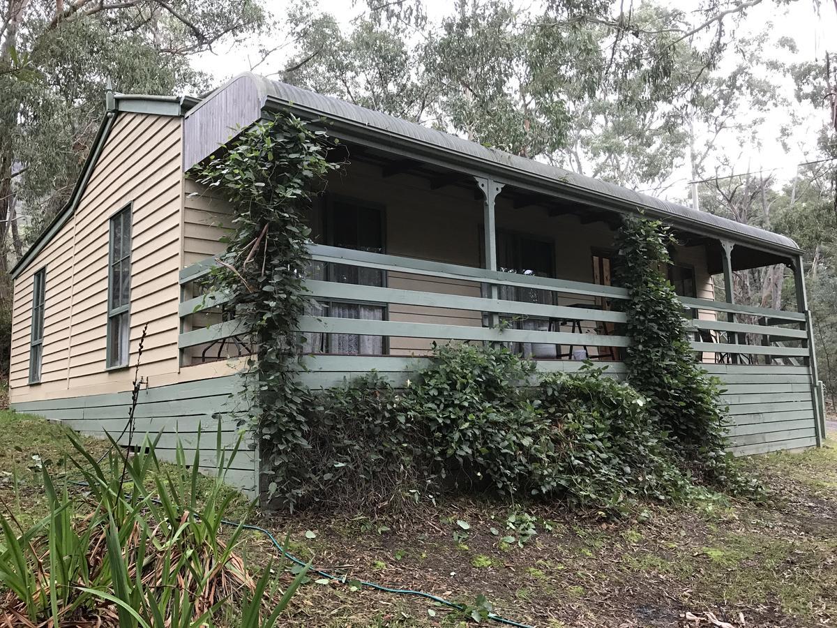 Day Dream Cottage Halls Gap Exterior foto